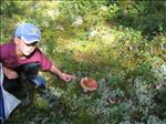 Sweden 2007-08 082